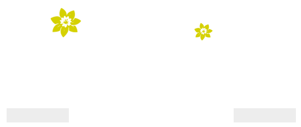 Daffodil Guest House